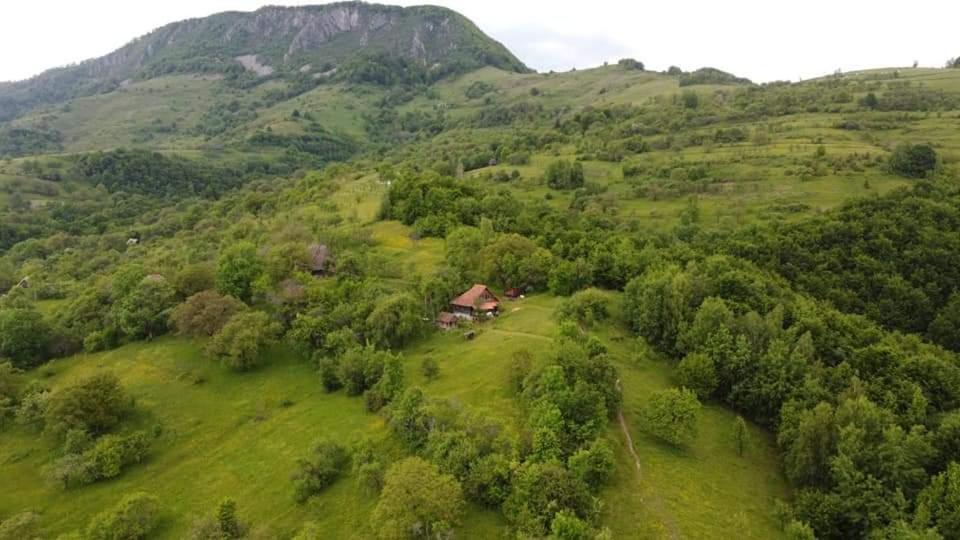 Almost Heaven - cabană cu vedere în Apuseni