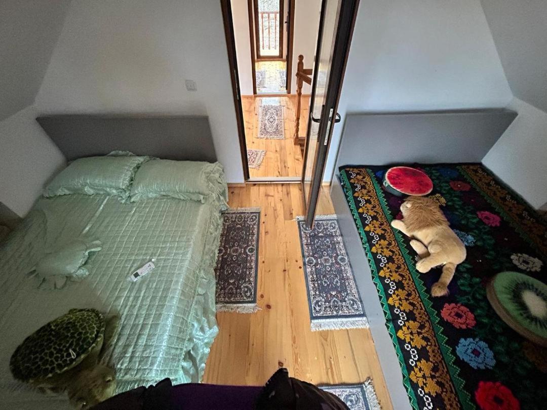 Apartament