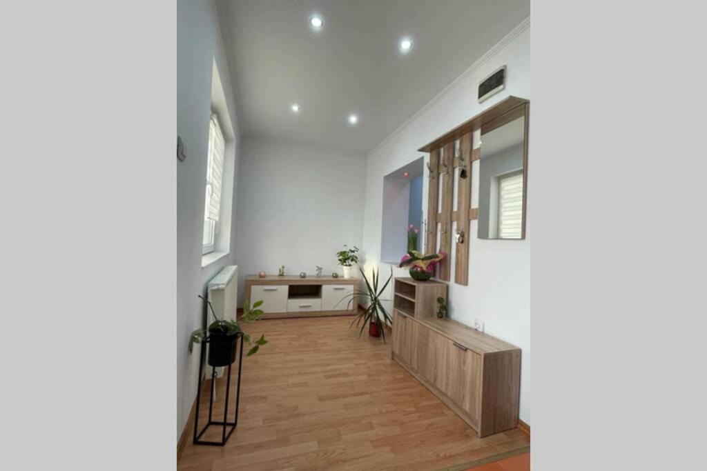 Apartament Cristina - Băile 1 Mai, Felix, Bihor, reducere jumătate bilet intrare Apollo și Aquapark President
