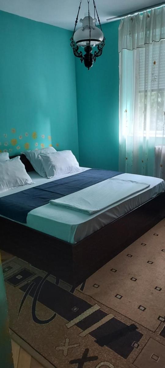 Apartament Gara Mica