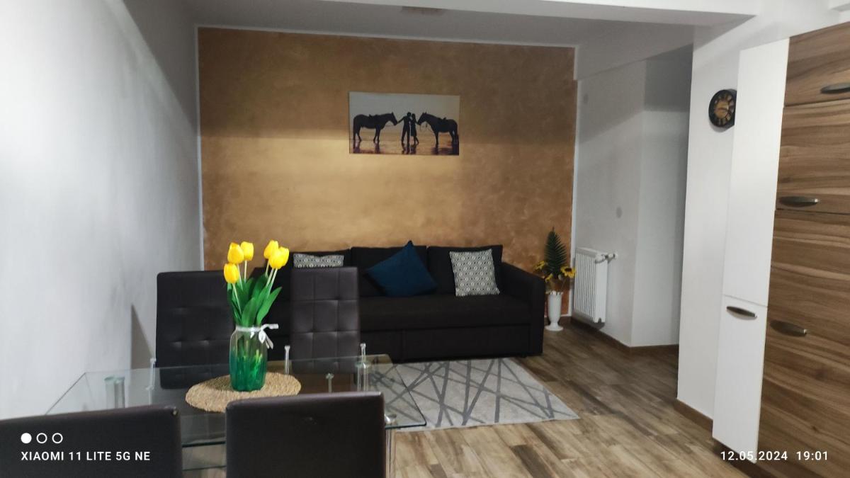 Apartament Lenus'k