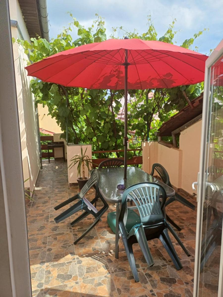 Apartament cu terasa la casa Valentin