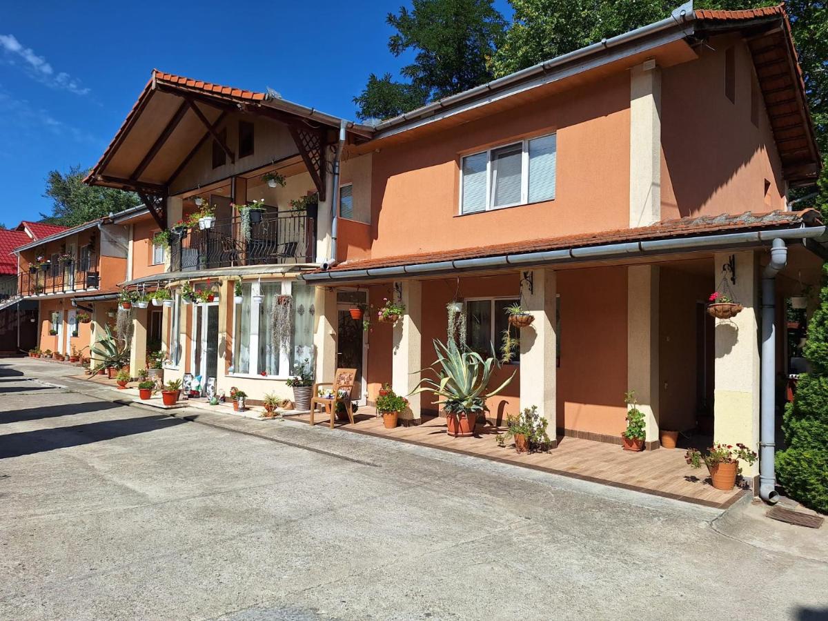 Apartament NECTARIA