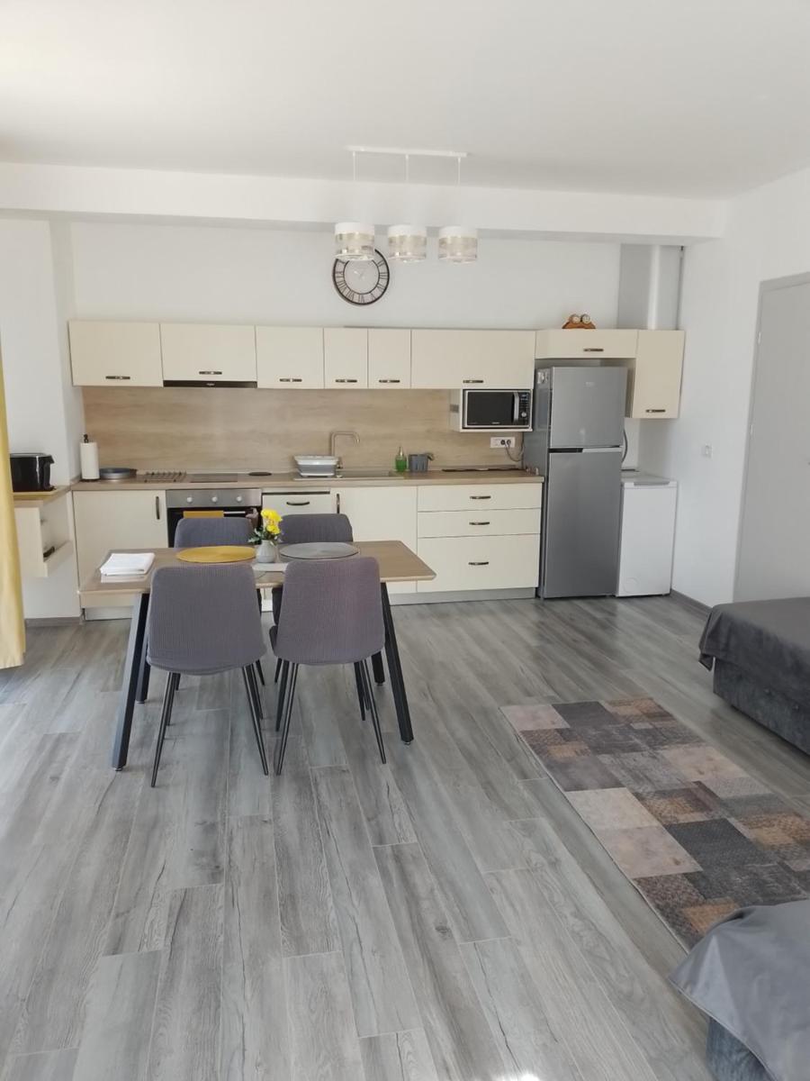 Apartament regim hotelier Băile Felix