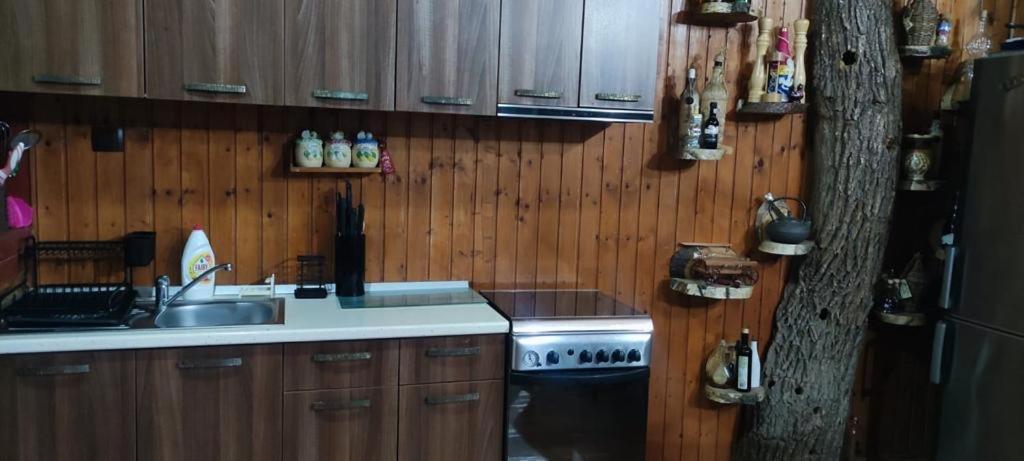 Apartament Ruxandra