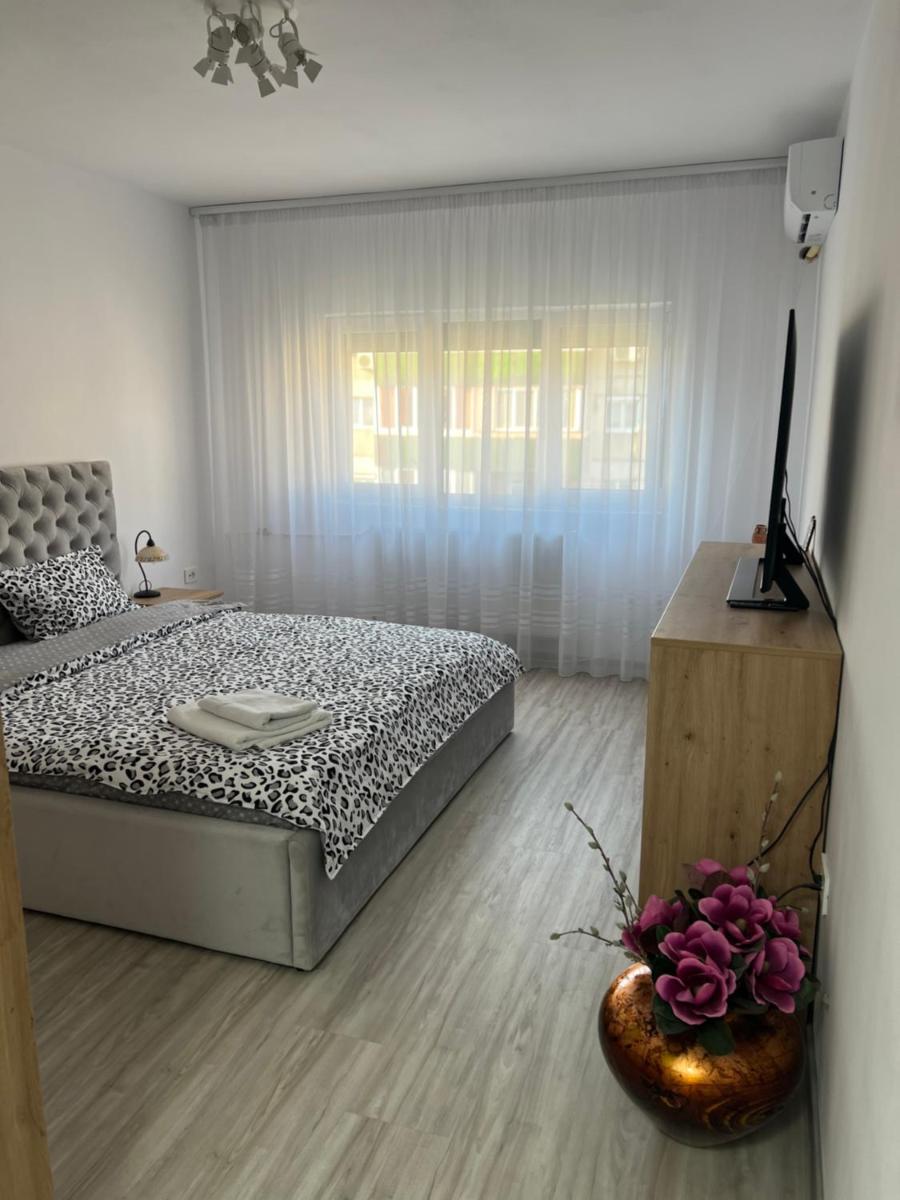 Apartament Tudor