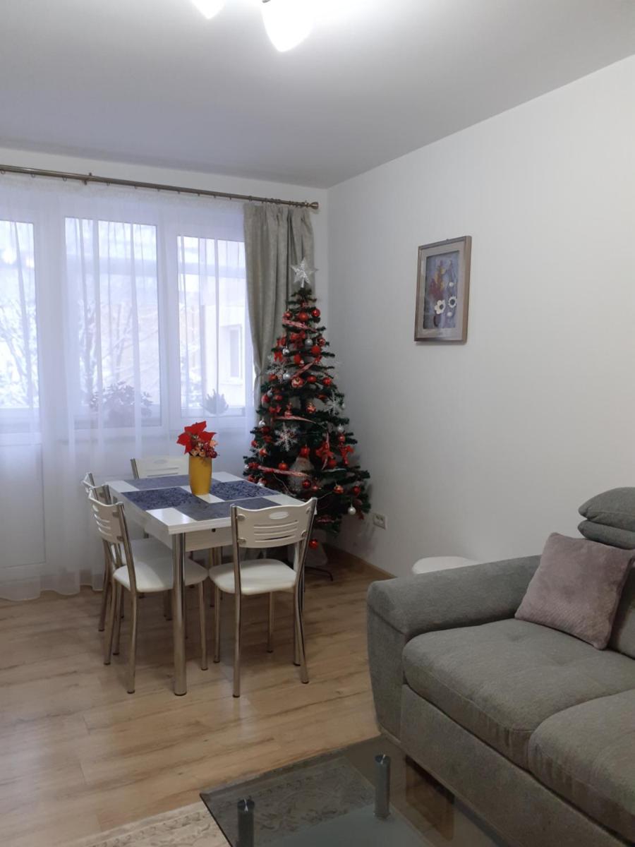 Apartament Ultra Central Marly Gura Humorului