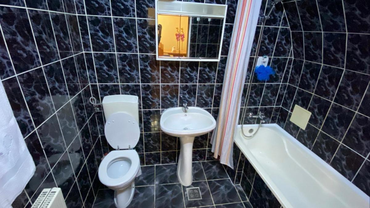 Apartament central zone