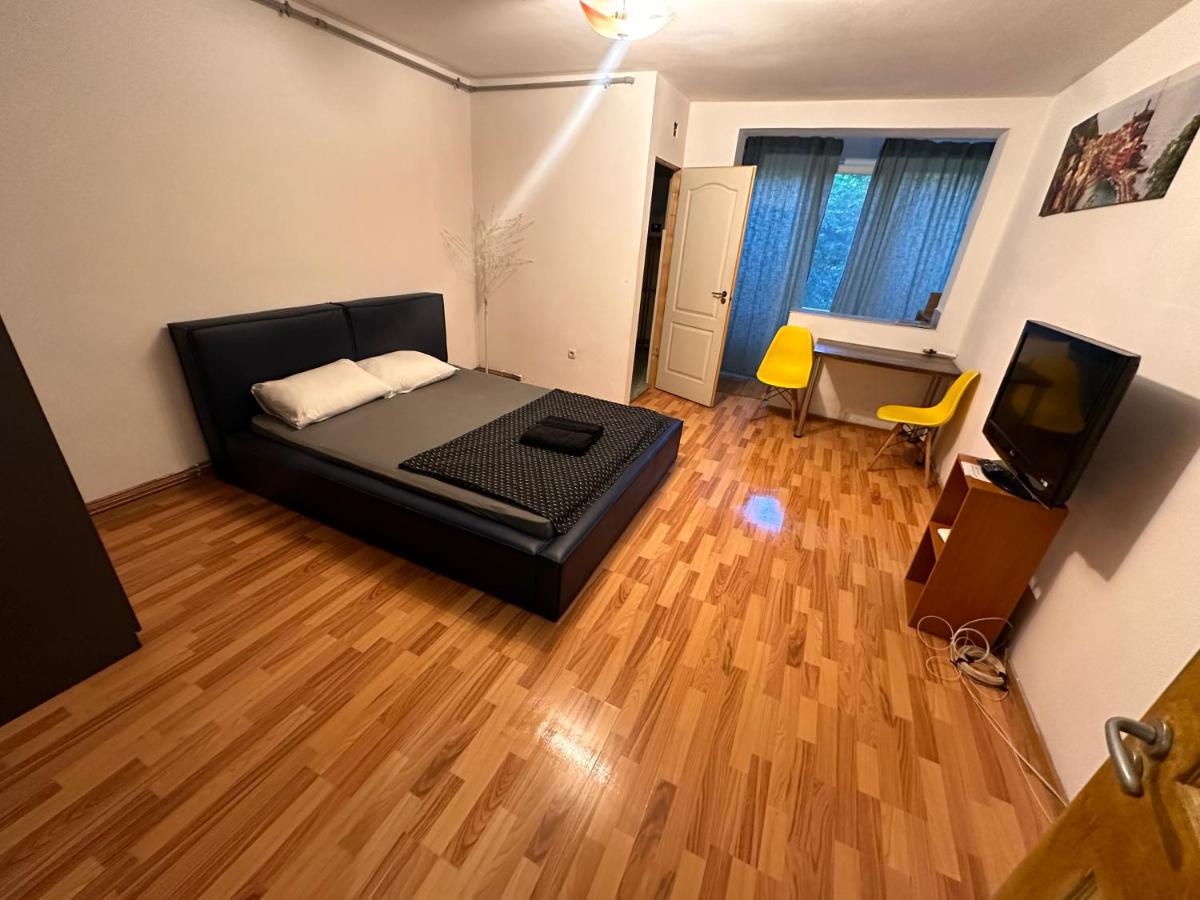 Apartment 1 Room Center Take Ionescu