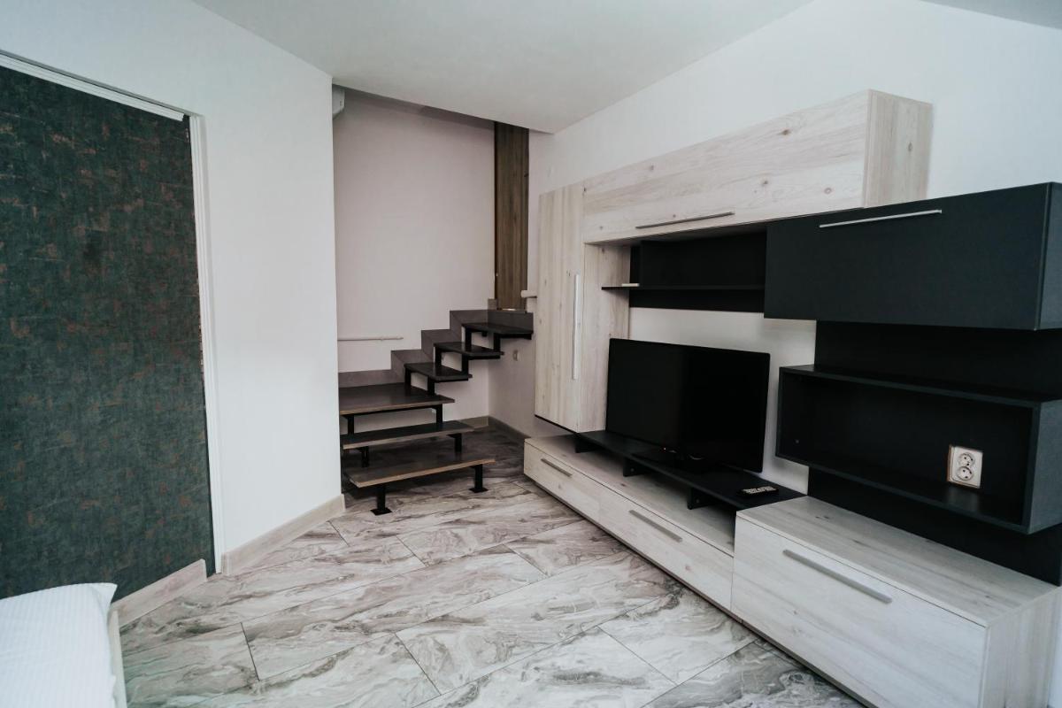 Apartment Attic