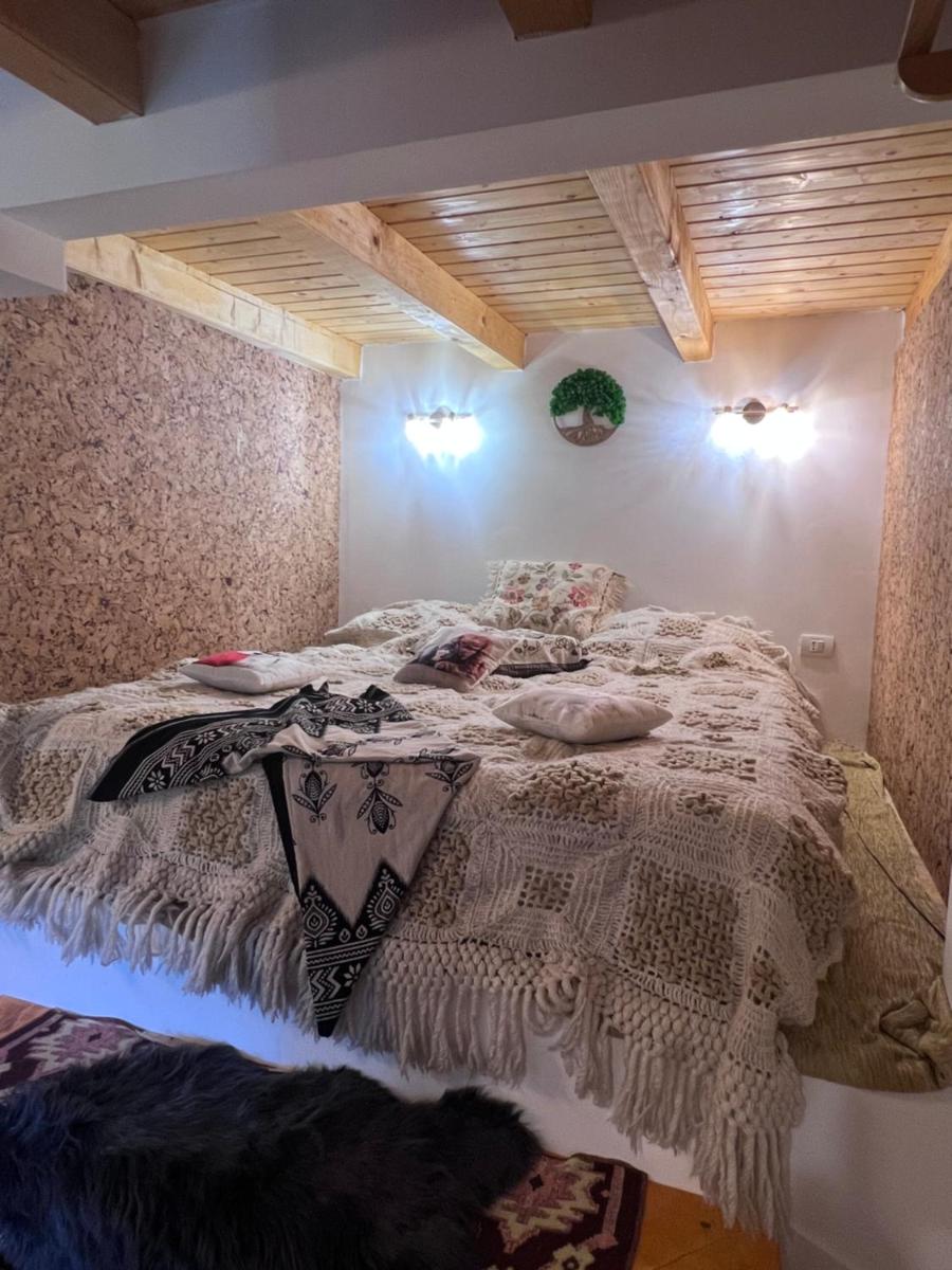 Casa Armonia