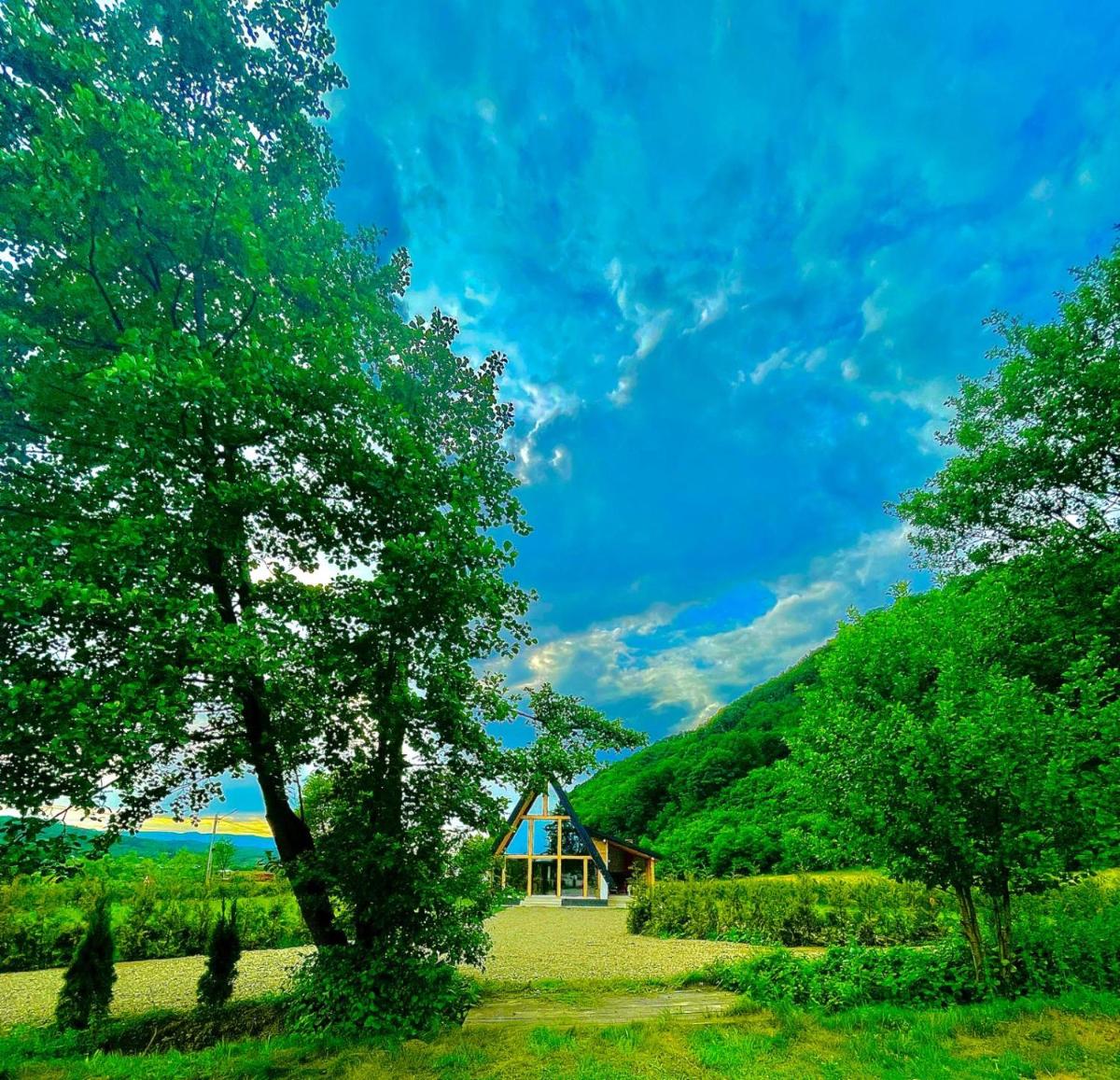 Cabana Ana Barsana