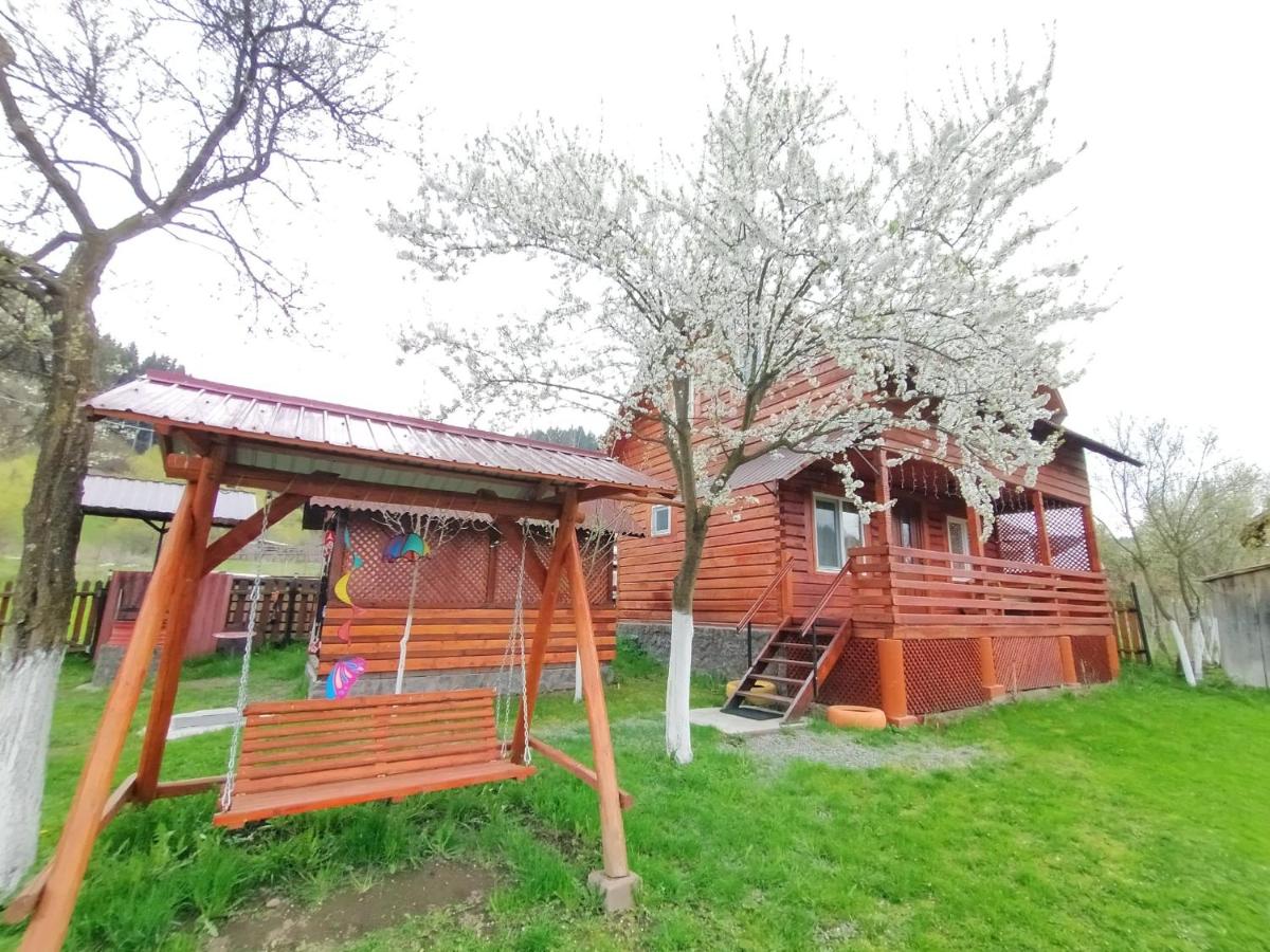Cabana Ianis