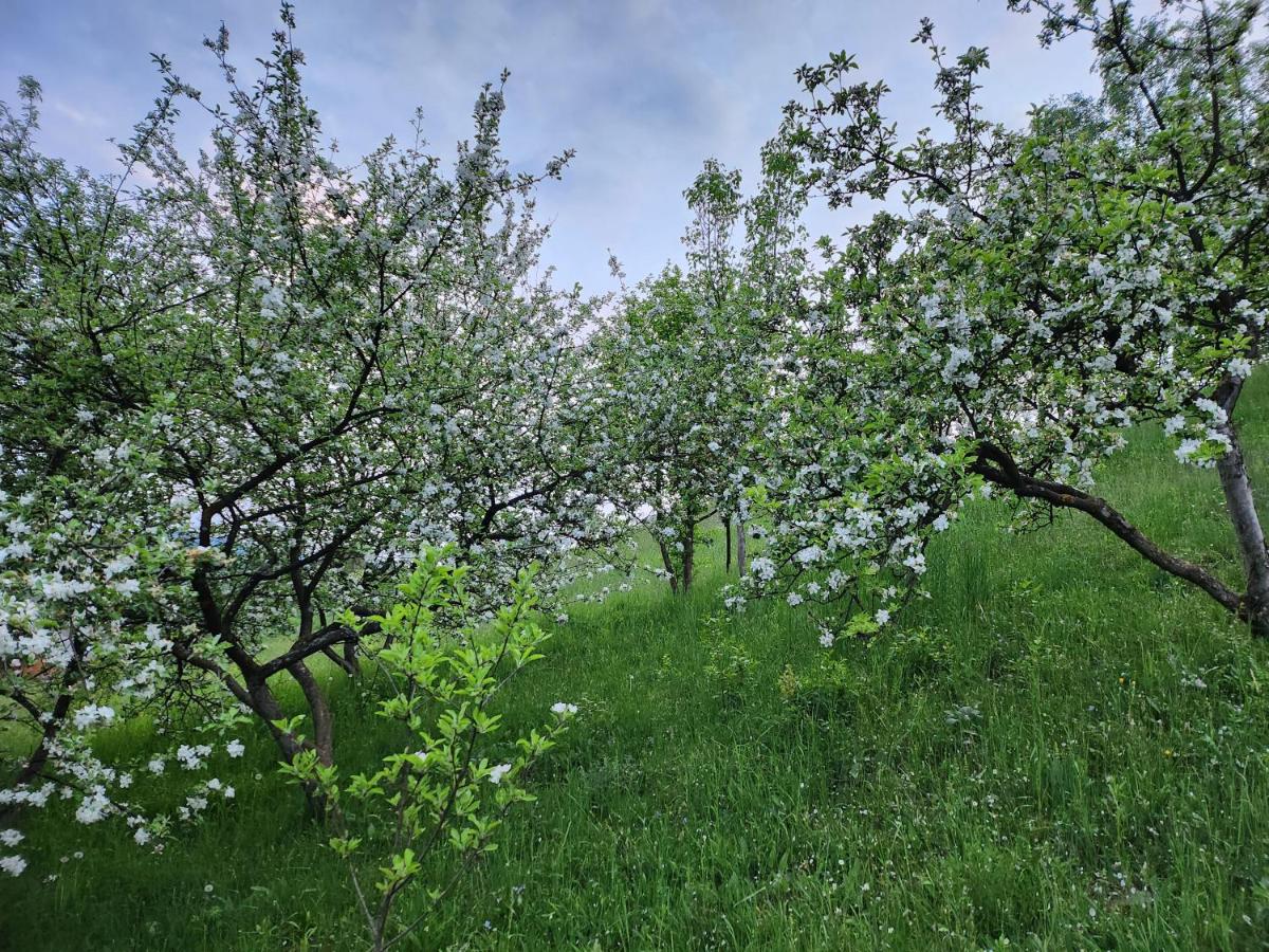 Casa din livadă - Cazare Măgheruș
