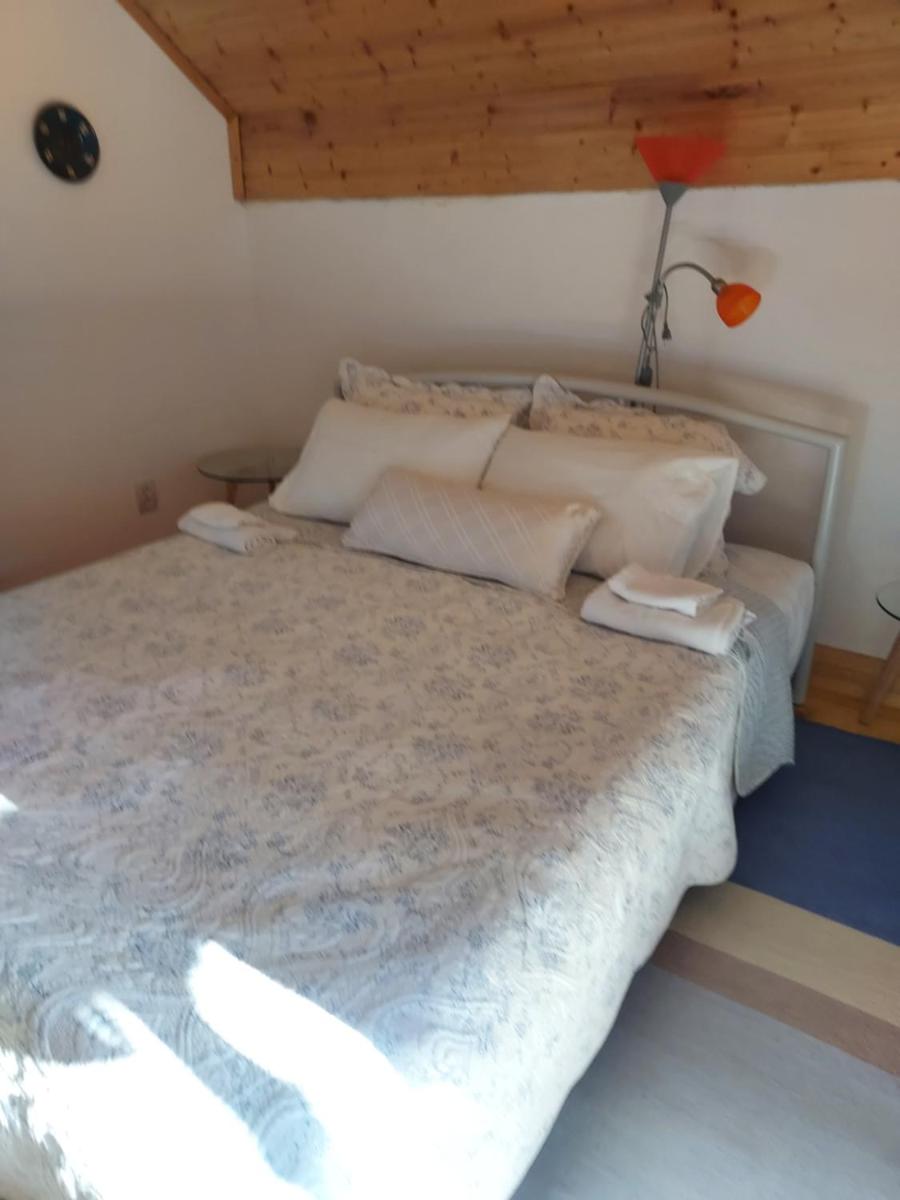 Case de închiriat Corina