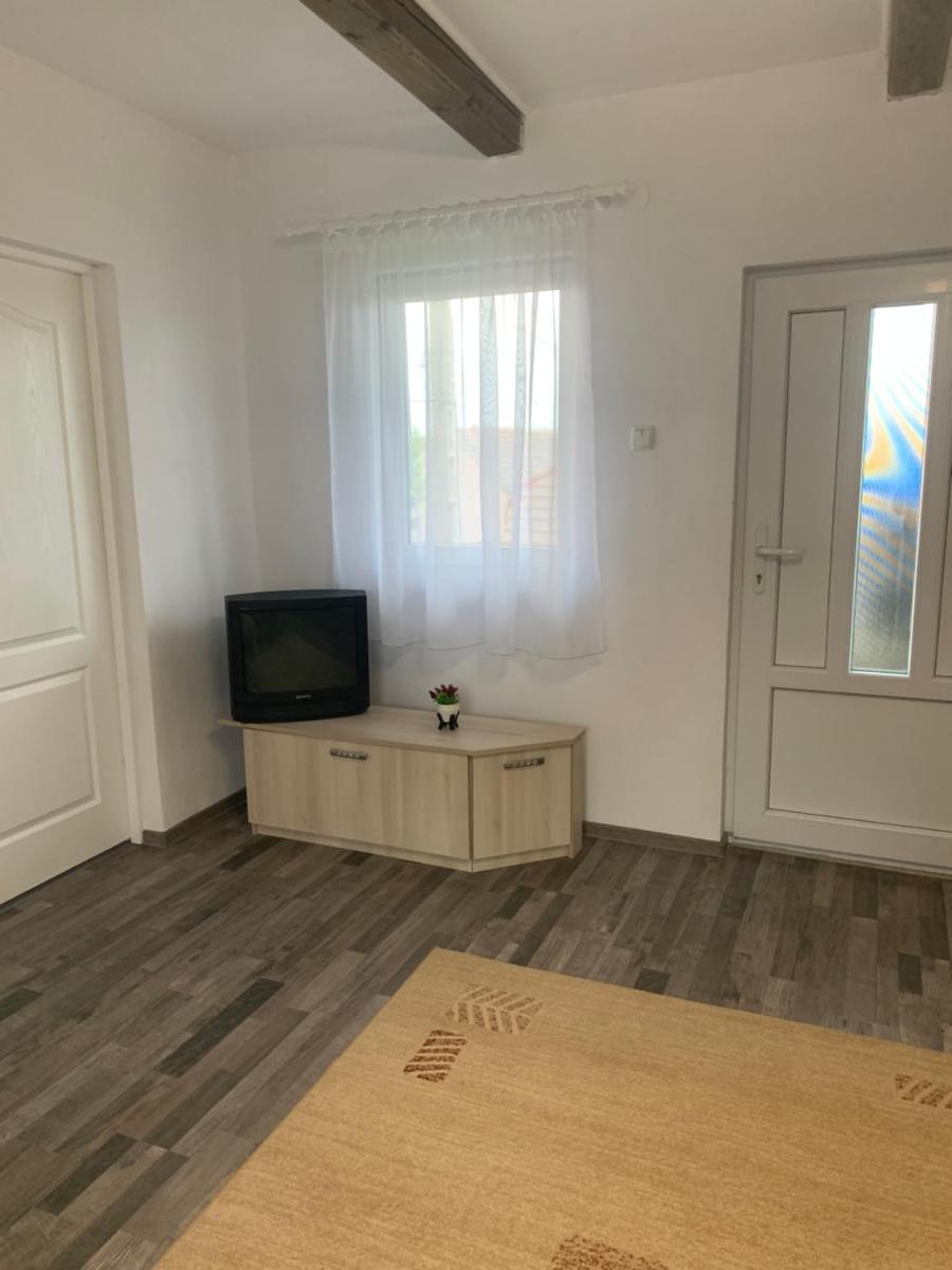 Camere de închiriat în localitatea Dănești