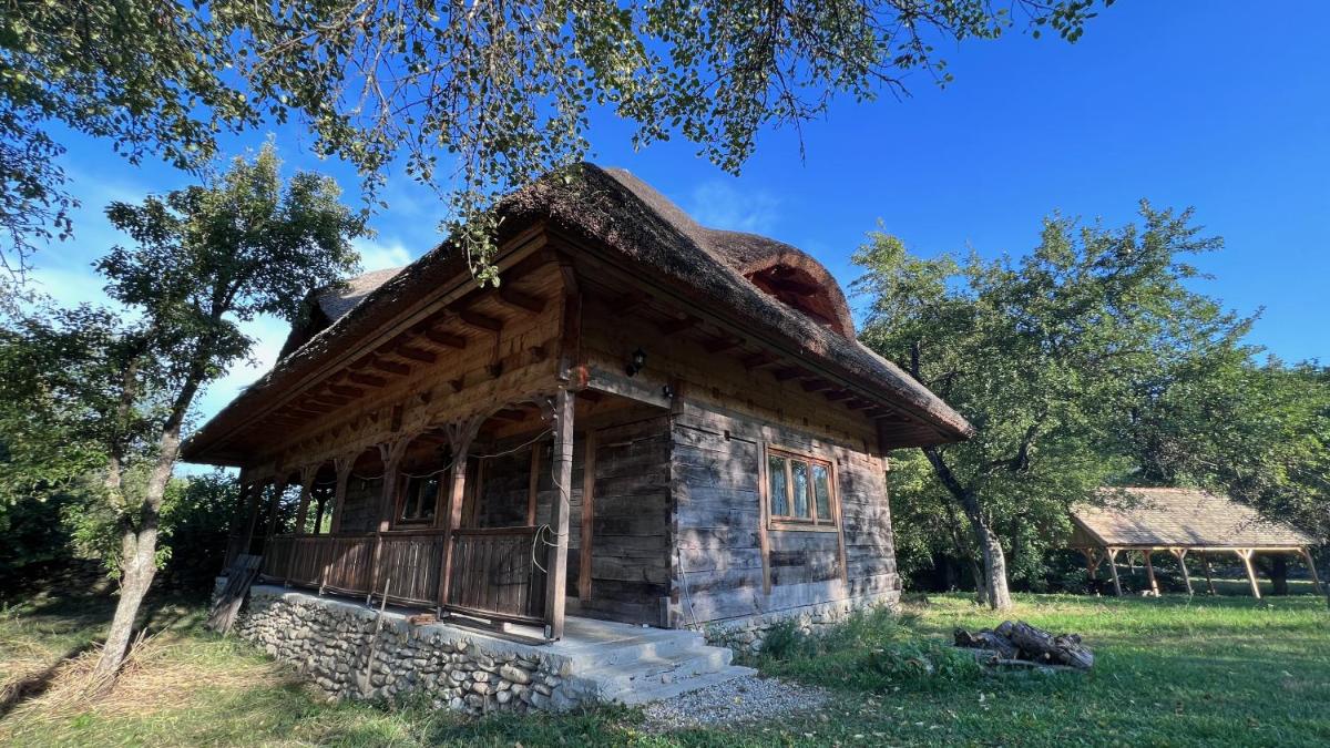 Casa Amnisty