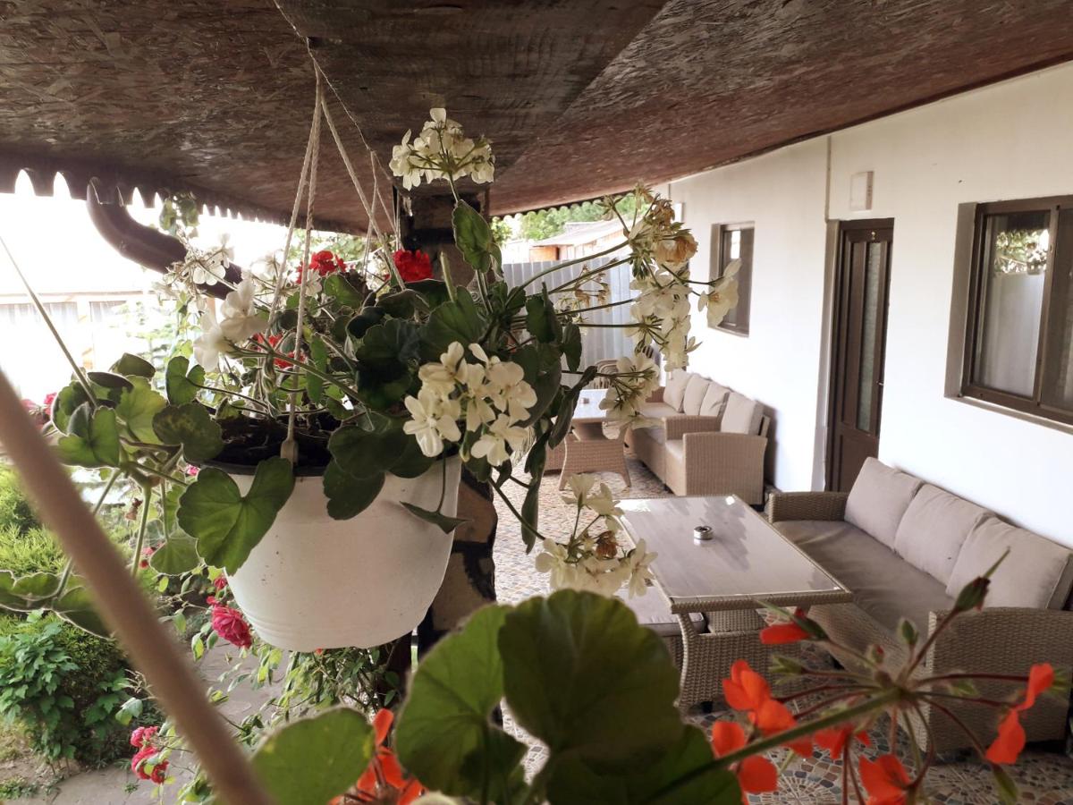Casa Chitu