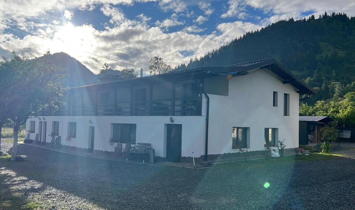 Casa Firuta Borsa