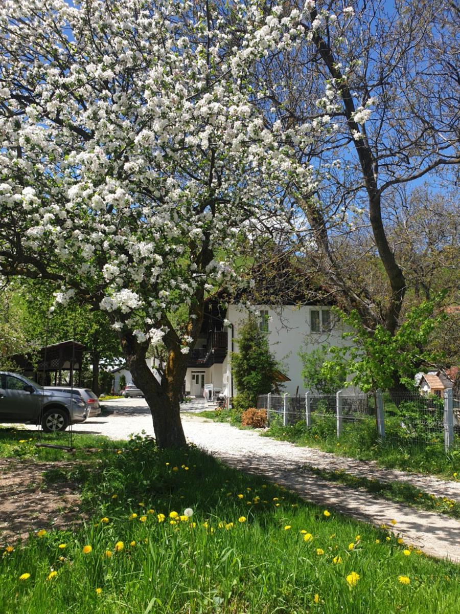 Casa Girbacea
