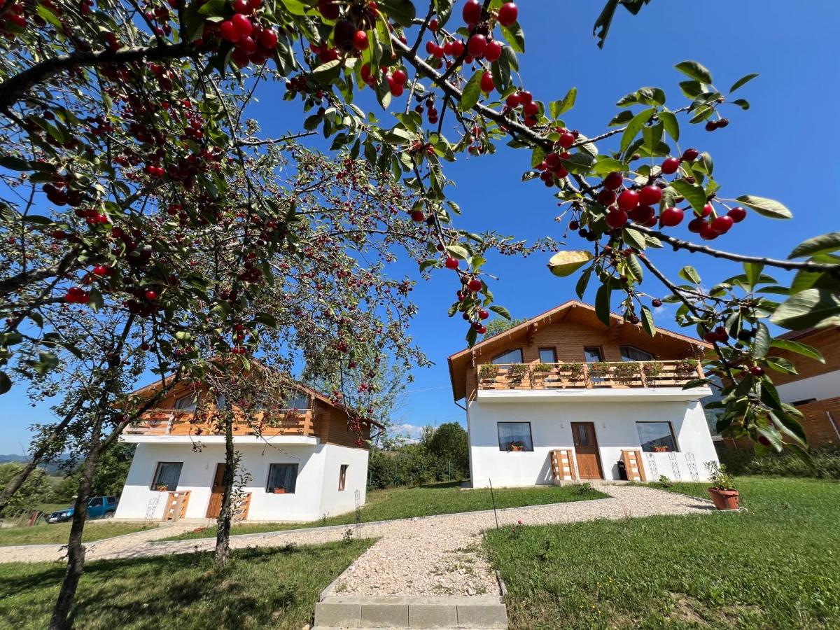 CASA MARA CHALET & SPA Bran