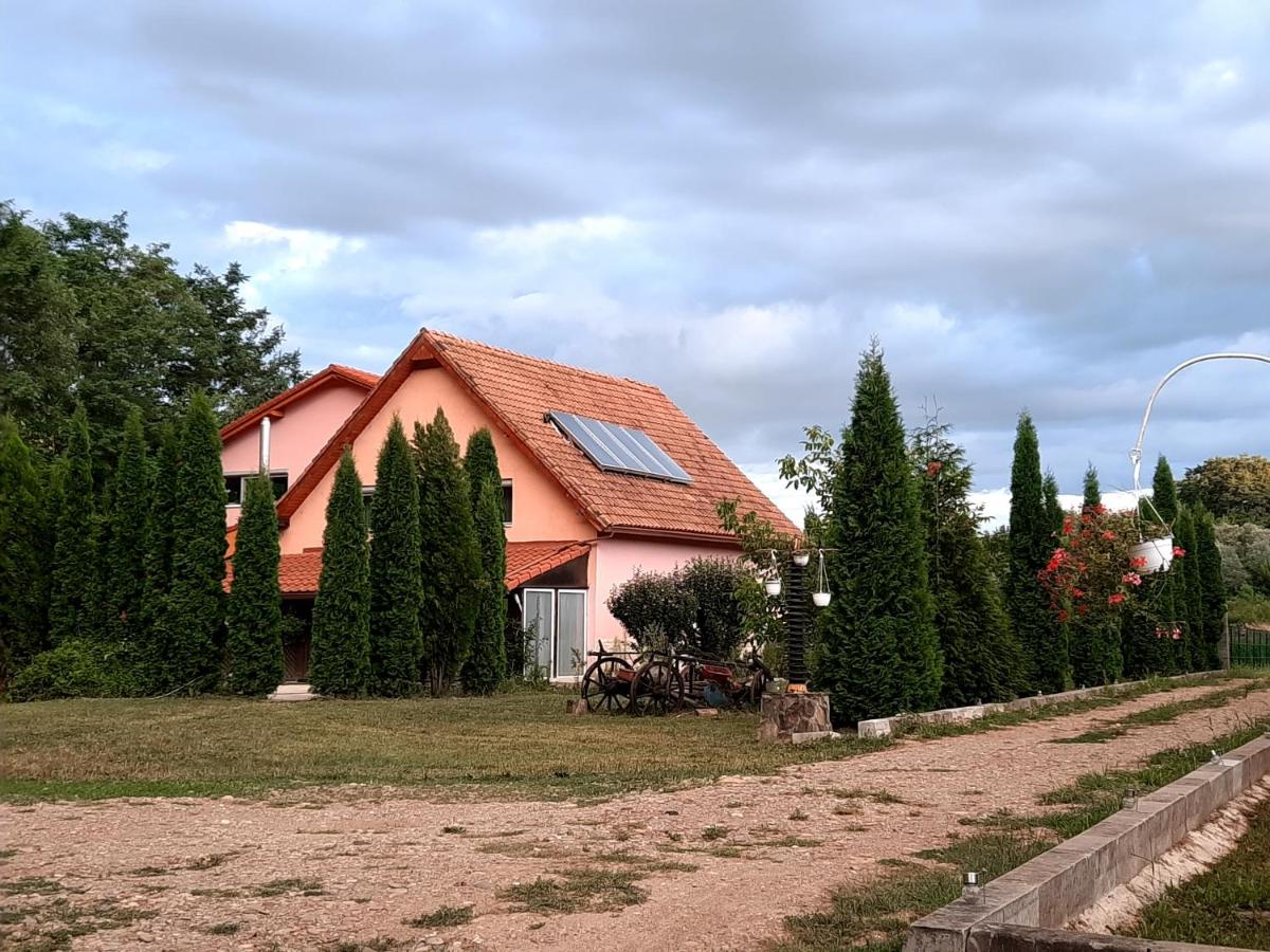 Casa Marcu