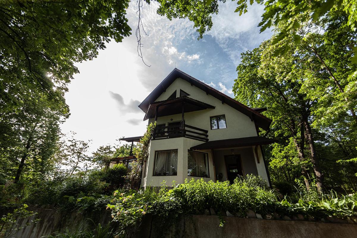 Casa Mariei - Vila Breaza