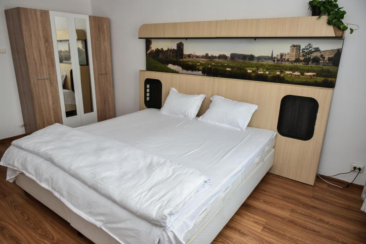 Apartament's Moise