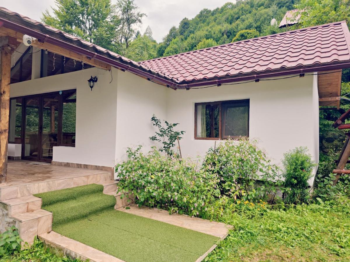 Casa Rustic