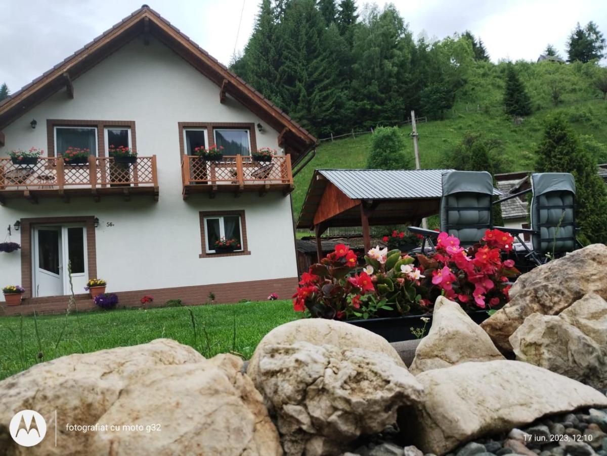Căsuța lui Matei