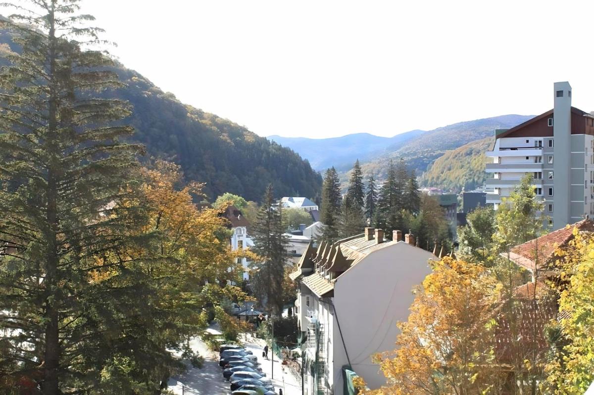 Central Park View Sinaia
