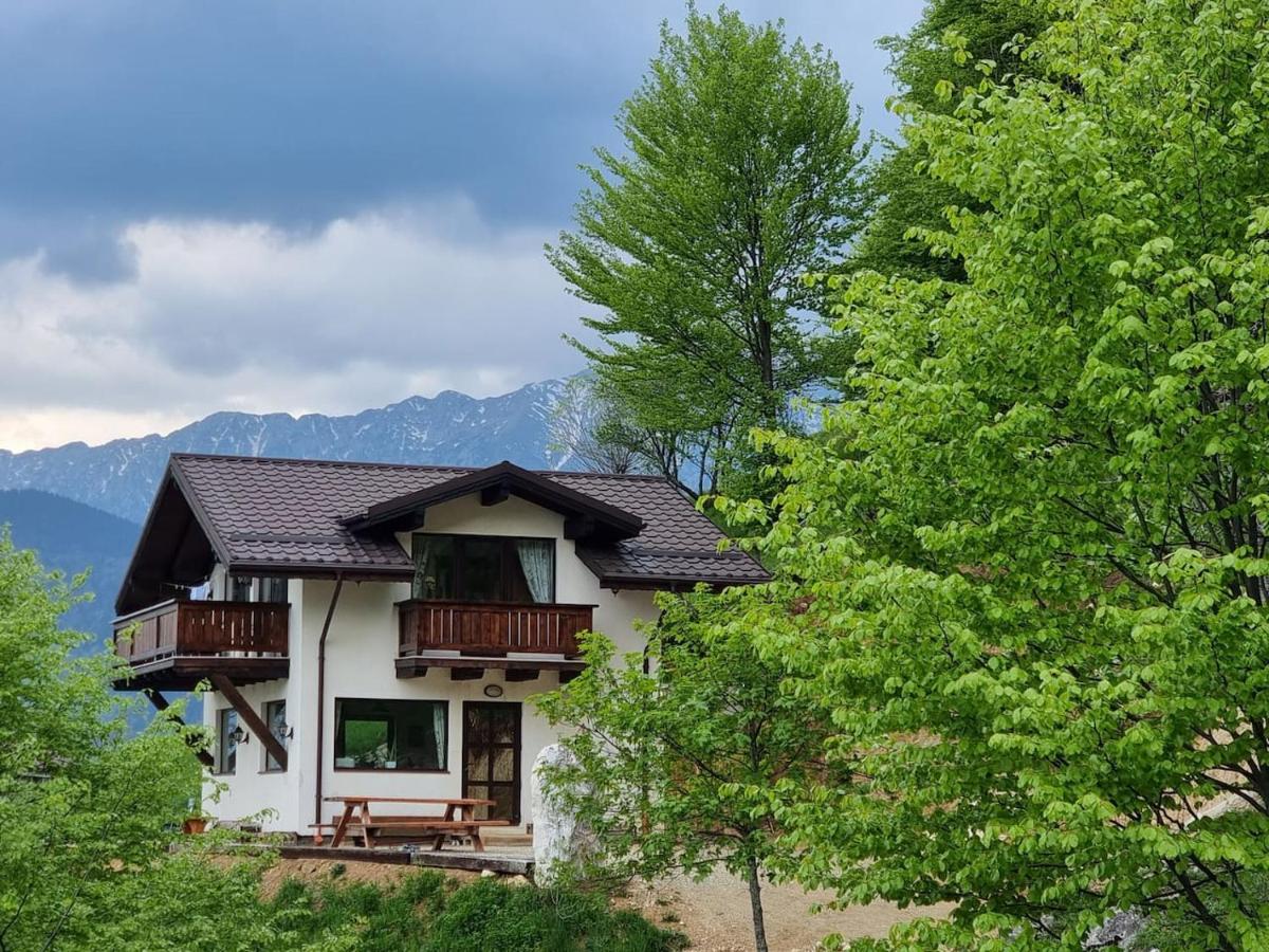 Chalet Betleem