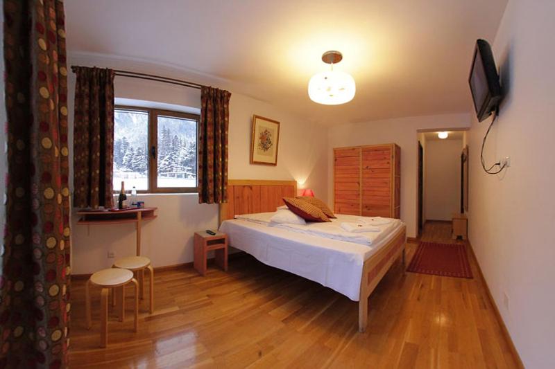 Pensiunea Turistica Villa Ermitage
