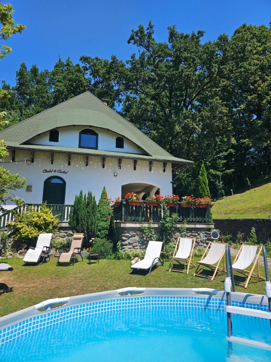 Casă de vacanță Chalet le Cristal