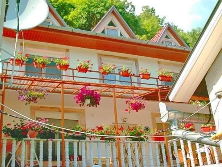 Colț de Rai Reşița ( Centru )