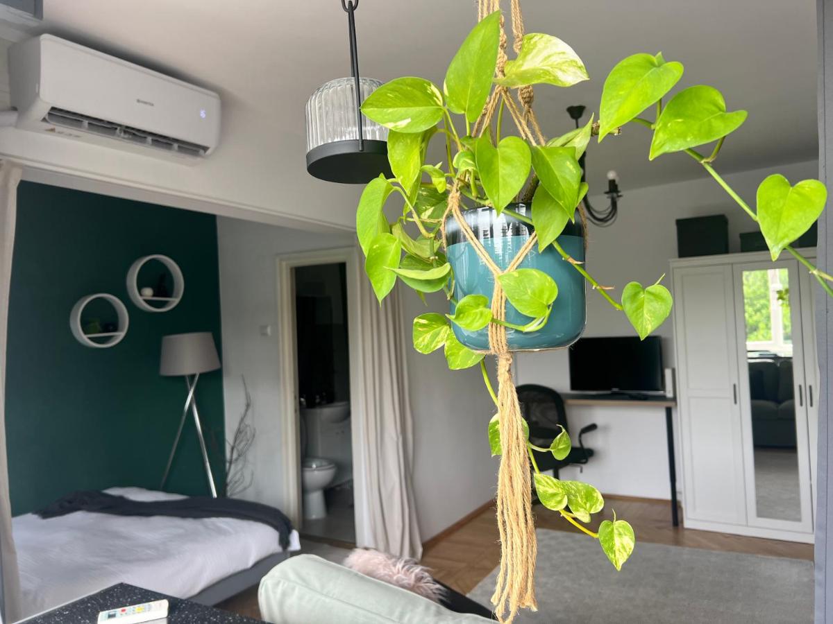 Cosy studio Floreasca