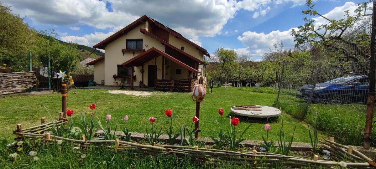 Cottage in traditional village Bradulet, Arges county