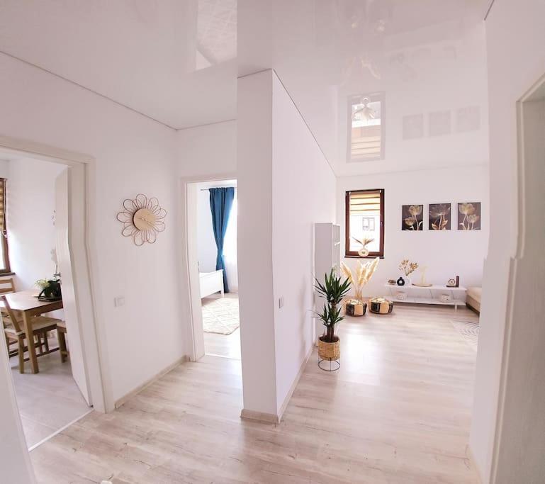 Cozy SoRaDa 1 apartment