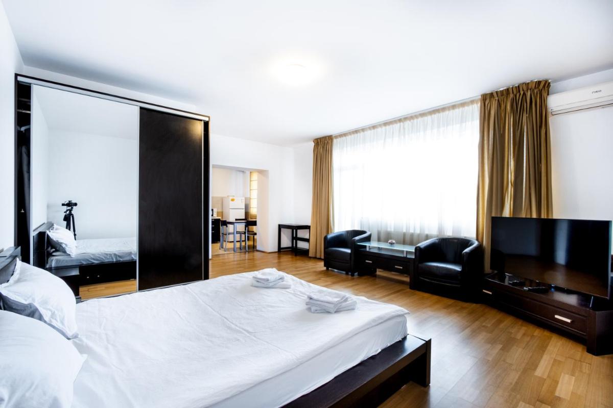 Luxury Studio Aviatiei