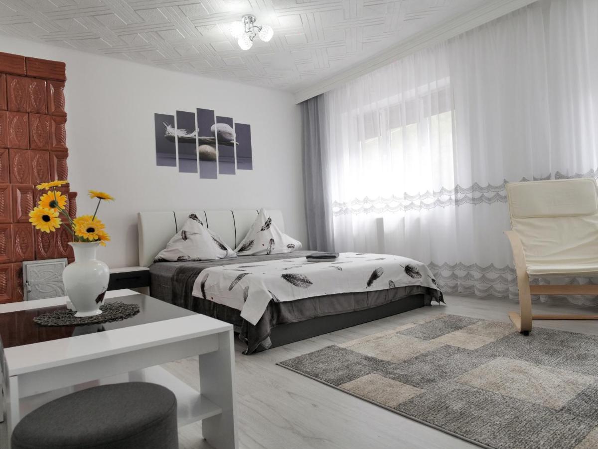 Pension Cuibul Viselor