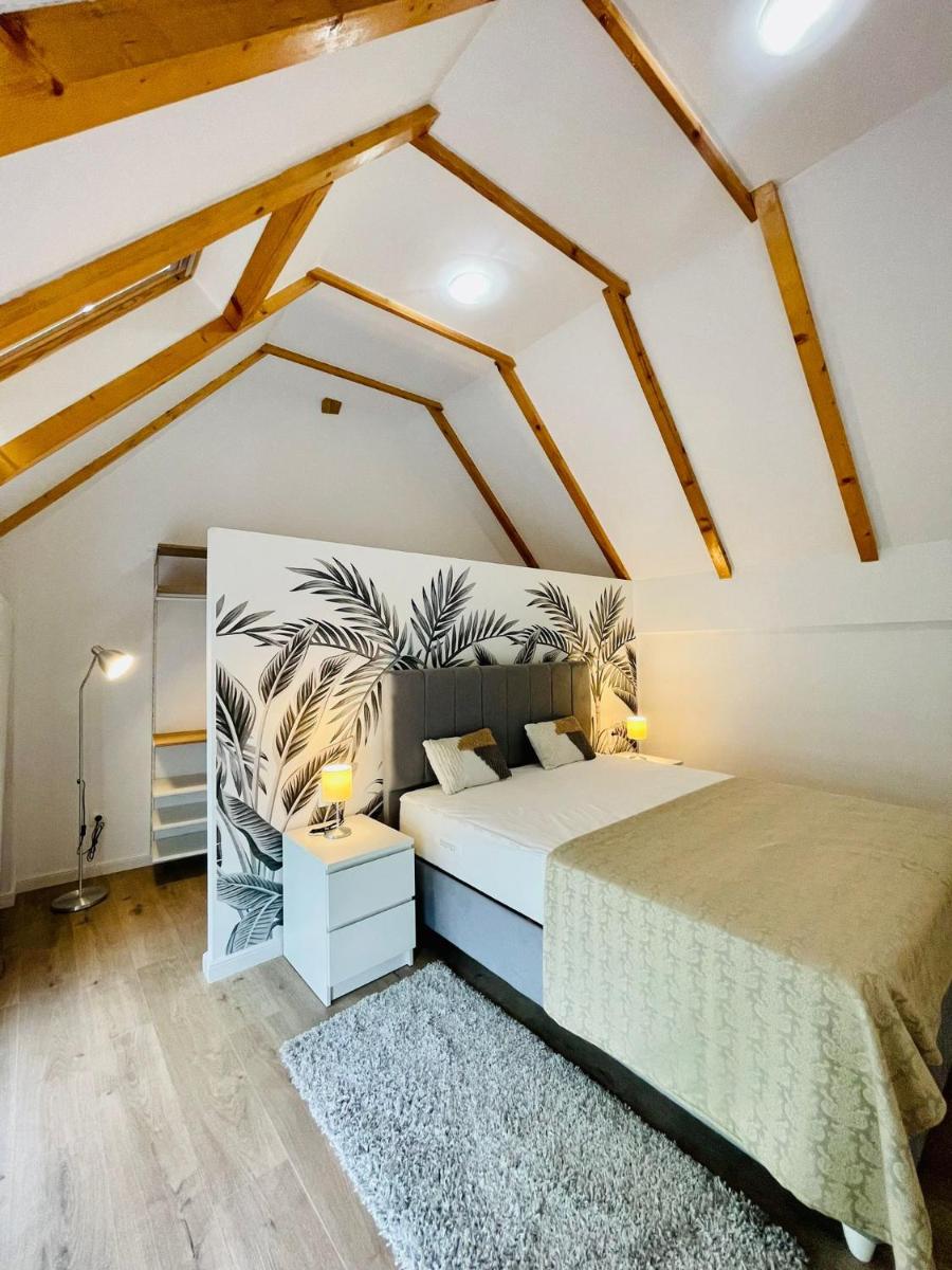 Dendro Apartment-Free parking