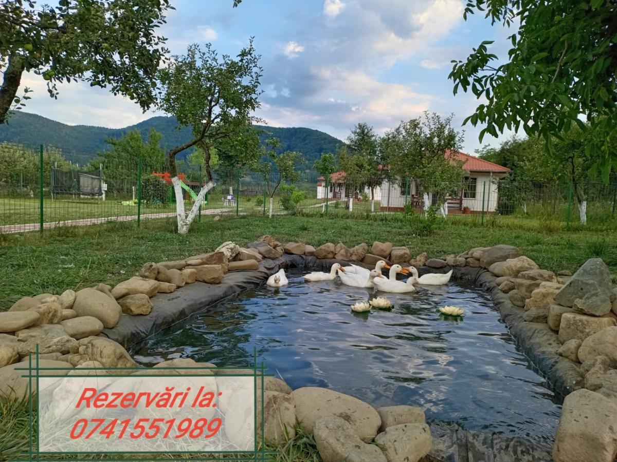 Desculti prin iarba- la 6,6 km de centrul Piatra Neamt