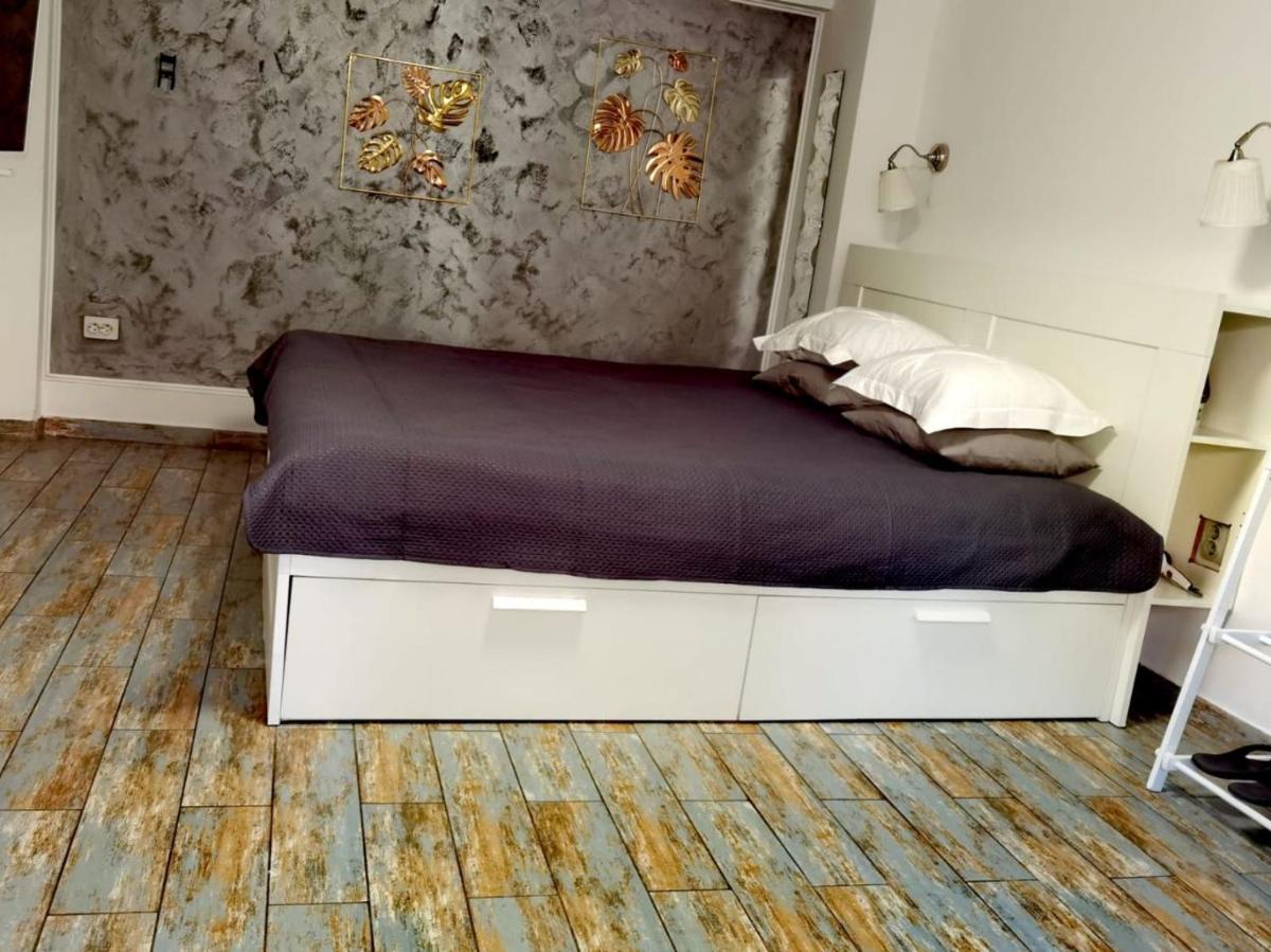 Stay In Tmisoara
