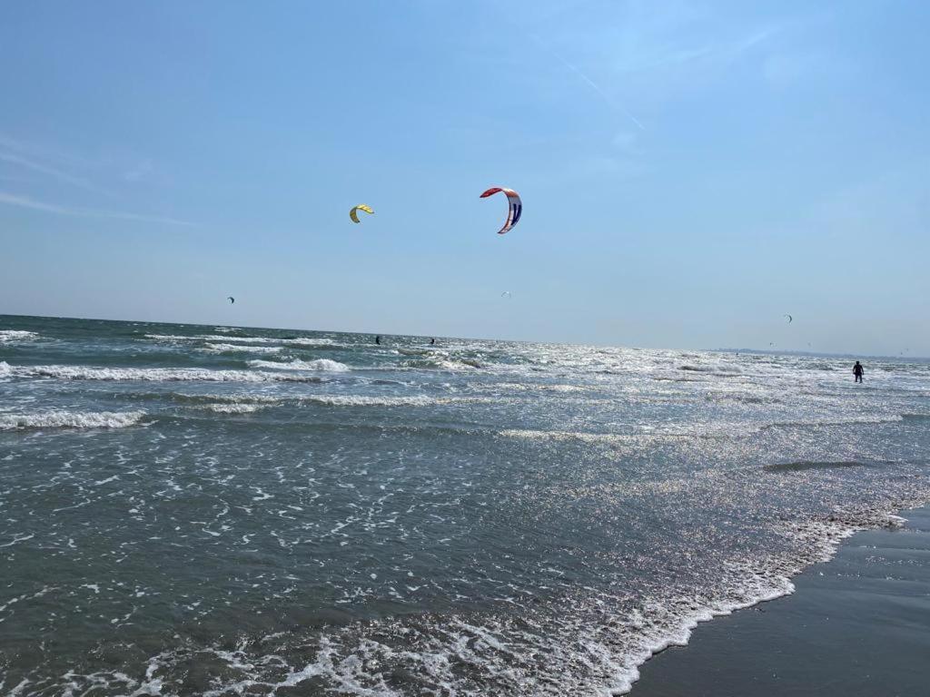 Emi Apartment Mamaia