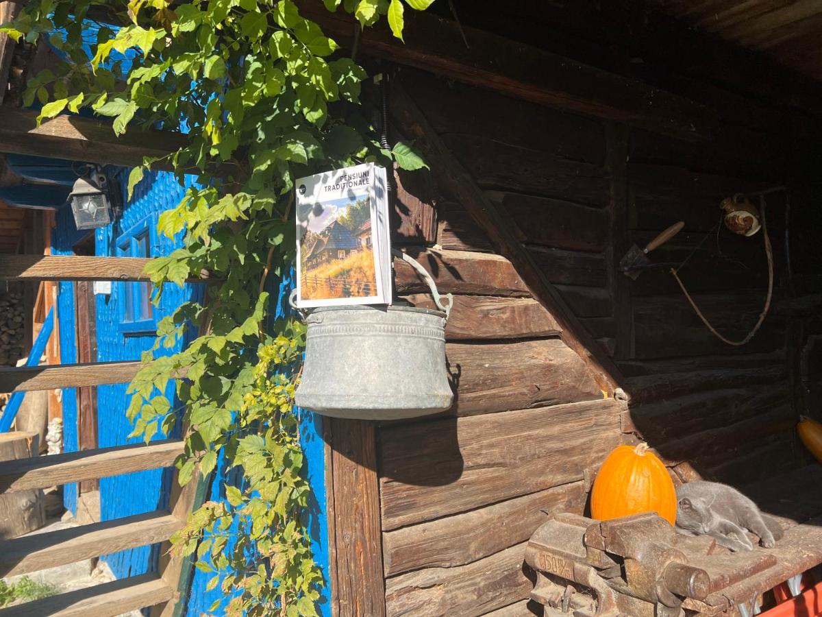 Casa de vacanta traditionala La Fanar