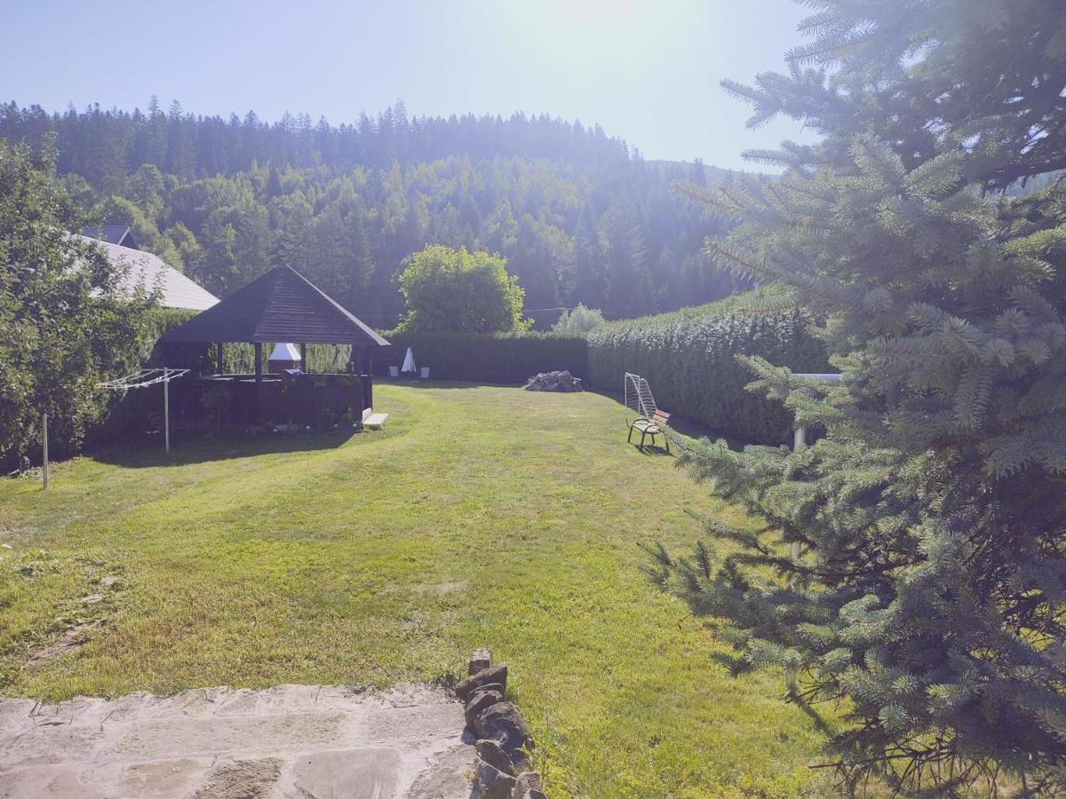 Forest View Cottage