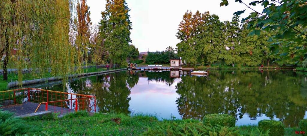 Friend's House