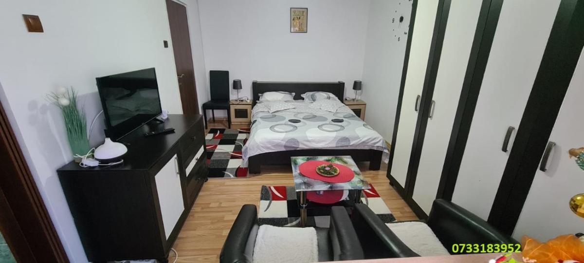 Garsoniera in regim hotelier "Raul"