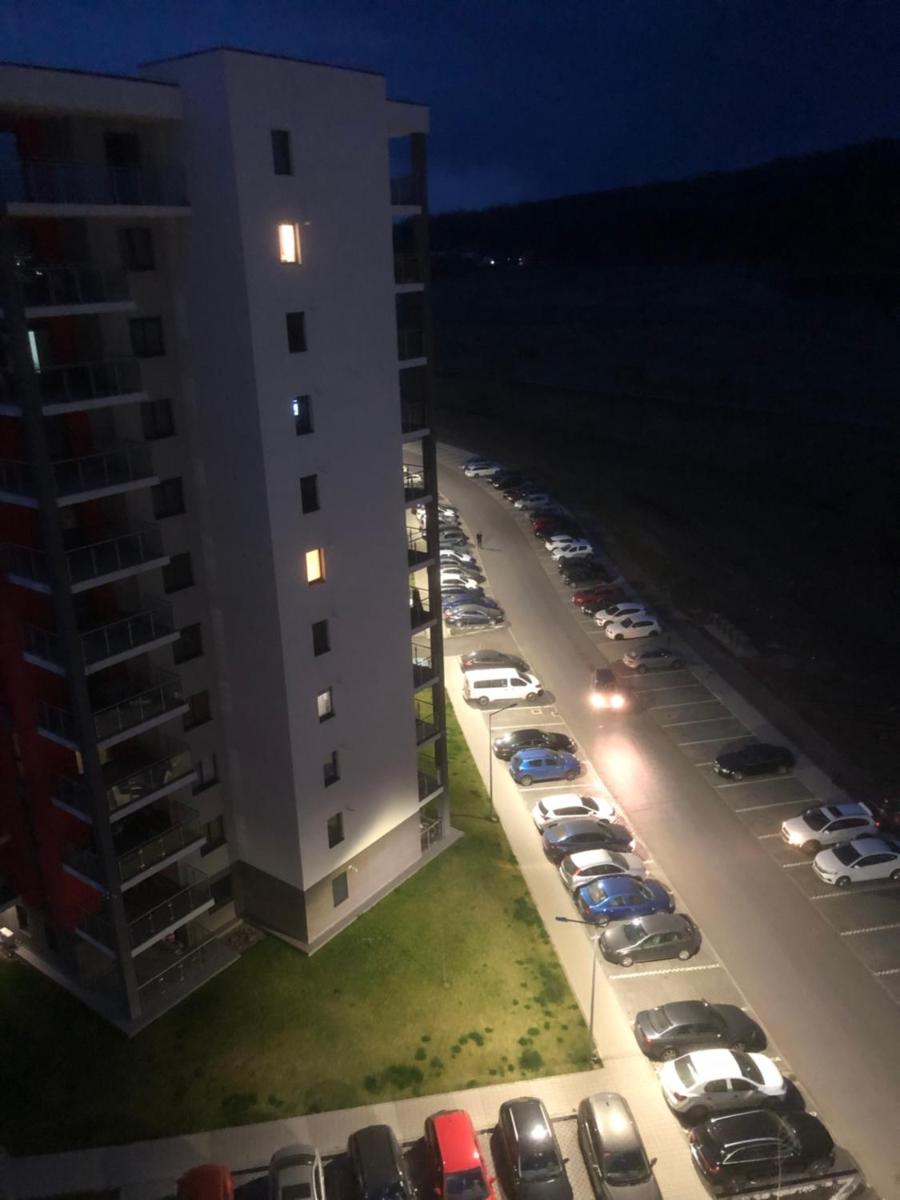 Green-Orizont