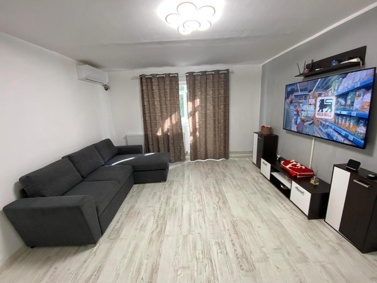 Apartament Rovine
